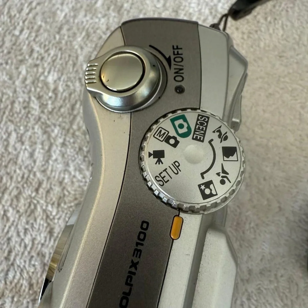Nikon Coolpix 3100 Silver Digital Camera with Strap